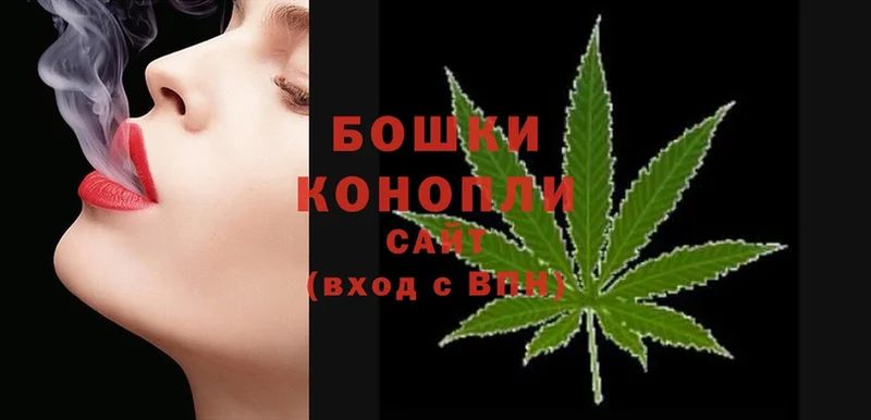 Каннабис OG Kush  Гусев 